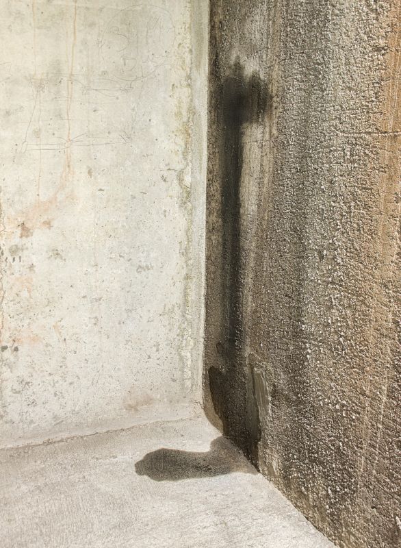 Basement Leak Repair in Sarasota, FL