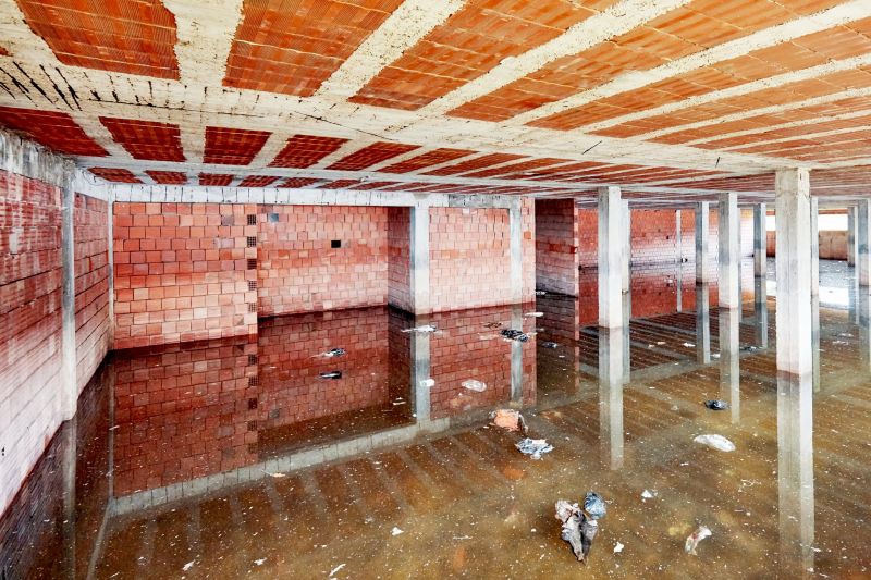 Basement Restoration Service in Gilbert, AZ