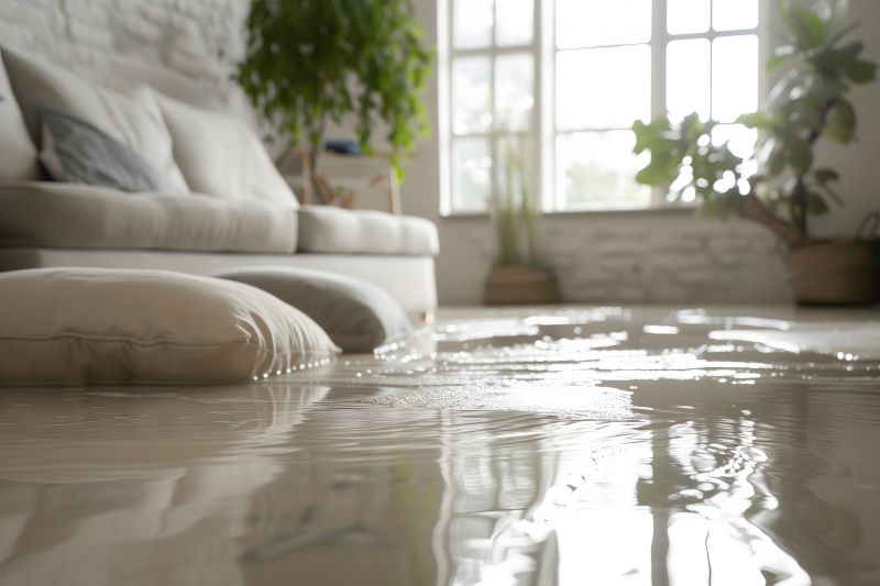 Flood Damage Restoration in Phoenix, AZ