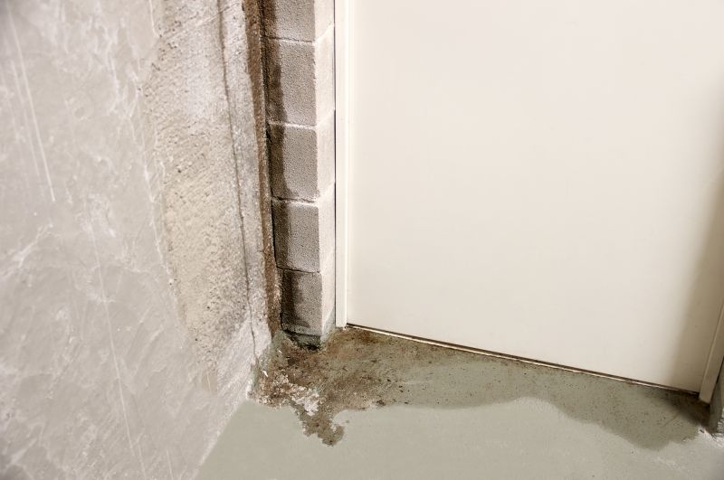 Foundation Leak Repair in Fredericksburg, VA