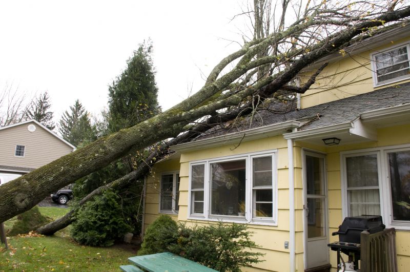 Storm Damage Mitigation in Gilbert, AZ