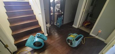 Storm Restoration Service in Chandler, AZ