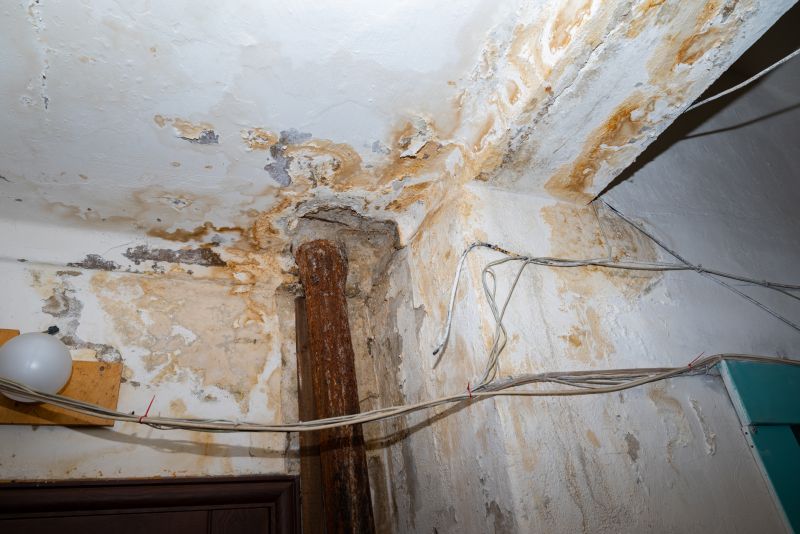 Water Damage Repair in Mesa, AZ