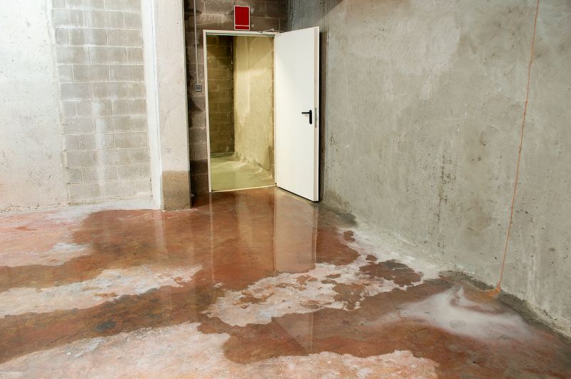 Wet Basement Repair in Sarasota, FL